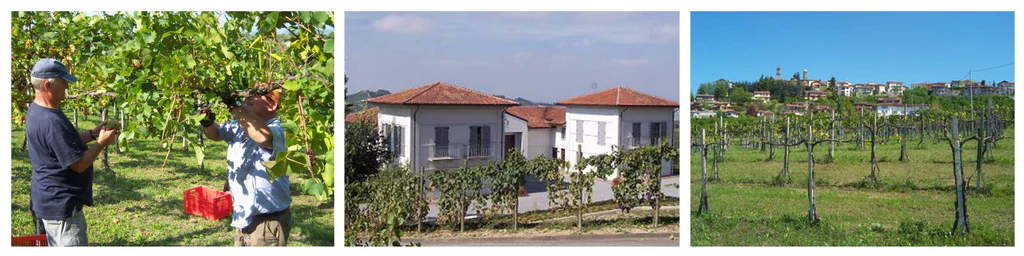Giribaldi