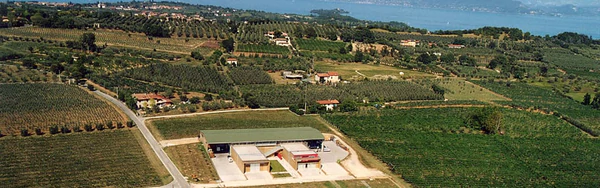 fontanelle