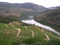 Tourais2