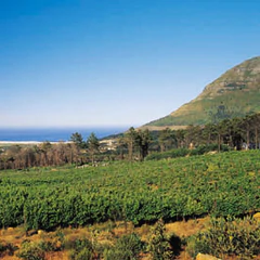 CapePoint2
