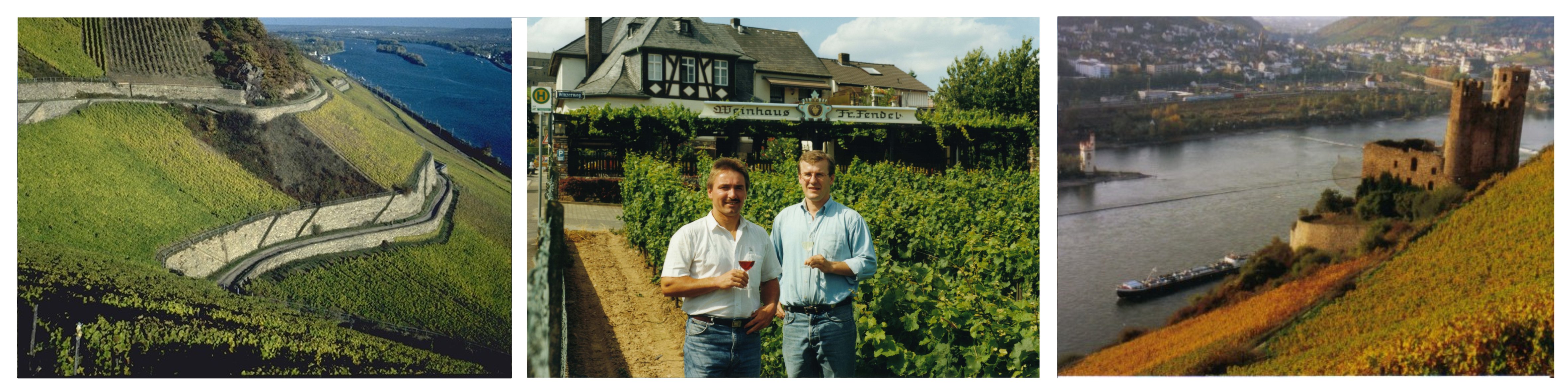 Weingut_Kollage_Fendel