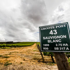 Groote3